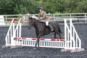 Class 3 -  Fences not above 2'3